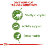 Load image into Gallery viewer, Royal Canin Outdoor 7+
