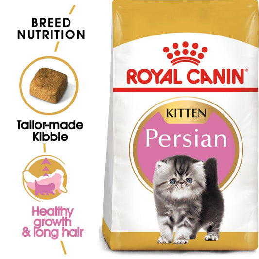 Persian kitten dry food