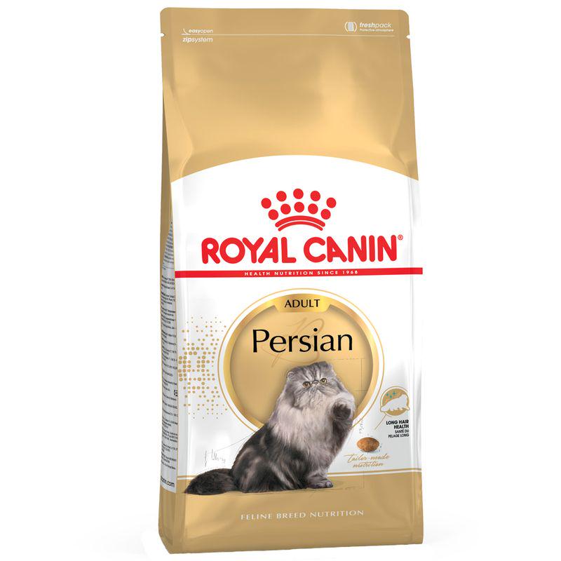 Adult Persian cat diet