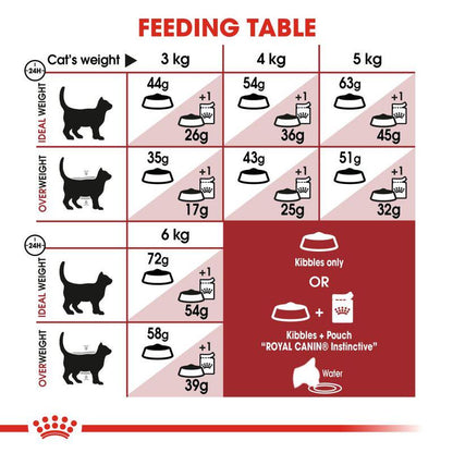 Adult cat nutrition