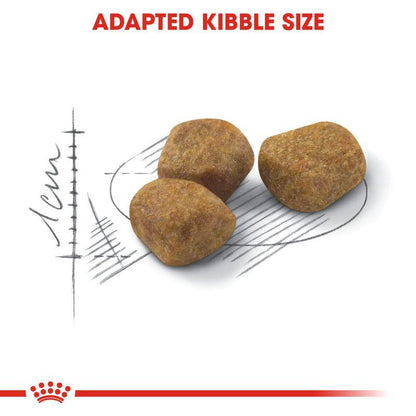 Royal Canin Regular Fit adapted Kibble SIze