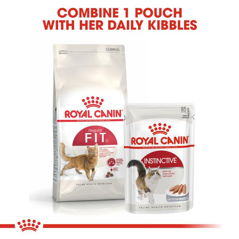 Royal Canin Regular Fit