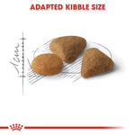 Load image into Gallery viewer, Royal Canin Savour Exigent
