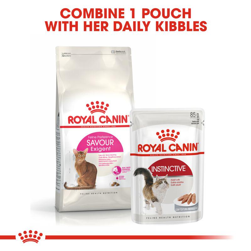 Royal Canin Savour Exigent