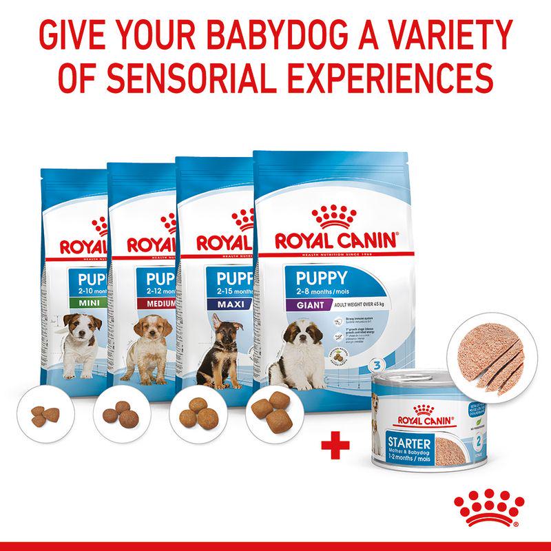 Royal Canin early care food
