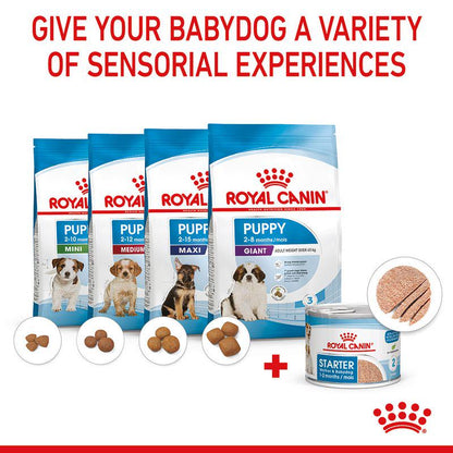 Royal Canin early care food
