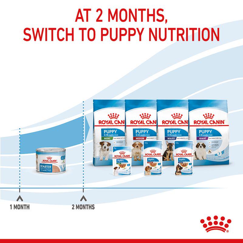 Royal Canin puppy starter
