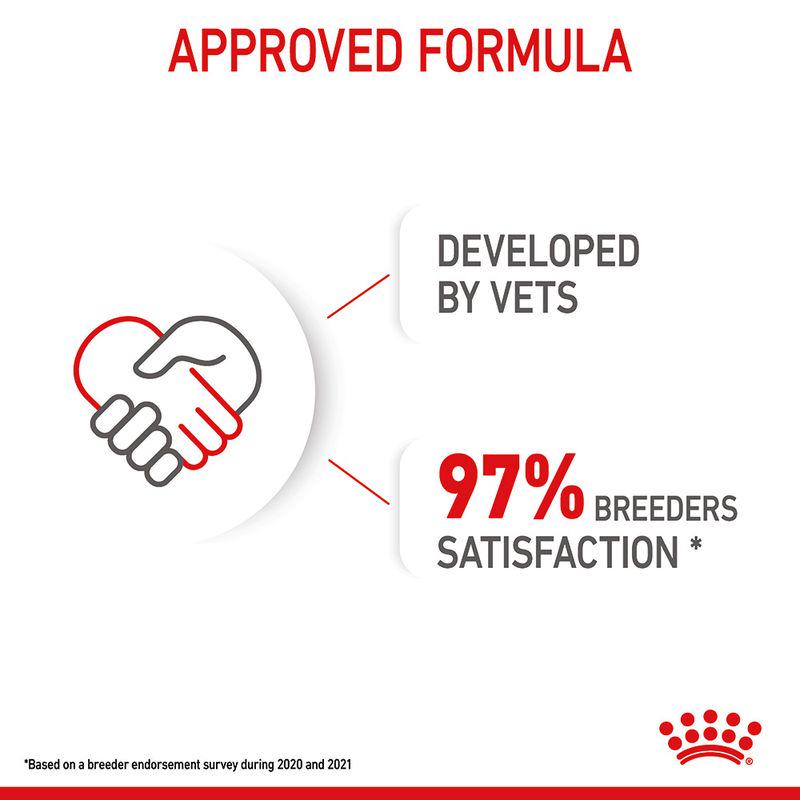 Dog mousse for new moms