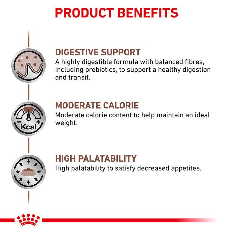Royal Canin Veterinary Cat - Gastrointestinal Moderate Calorie