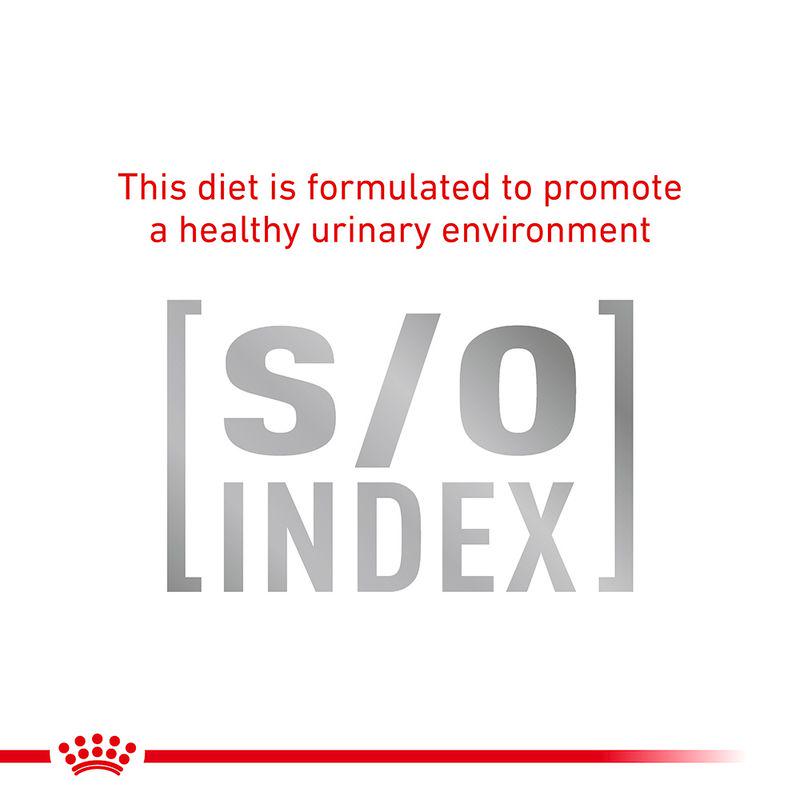 Royal Canin Veterinary Feline Hypoallergenic