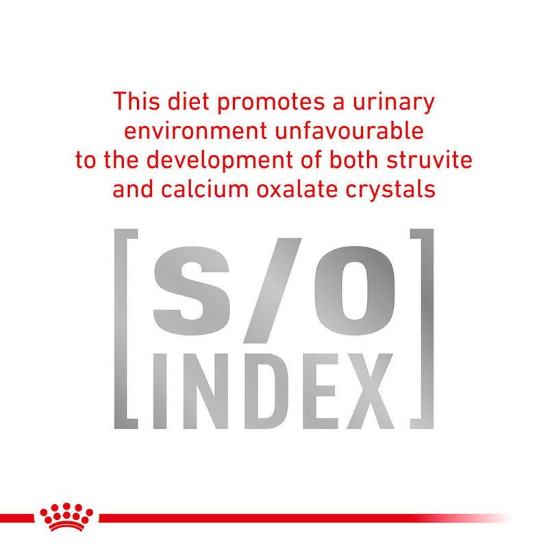 Royal Canin Veterinary Cat - Gastrointestinal Moderate Calorie