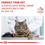 Load image into Gallery viewer, Royal Canin Veterinary Cat - Gastrointestinal Moderate Calorie
