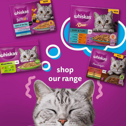 Adult jelly mix Whiskas