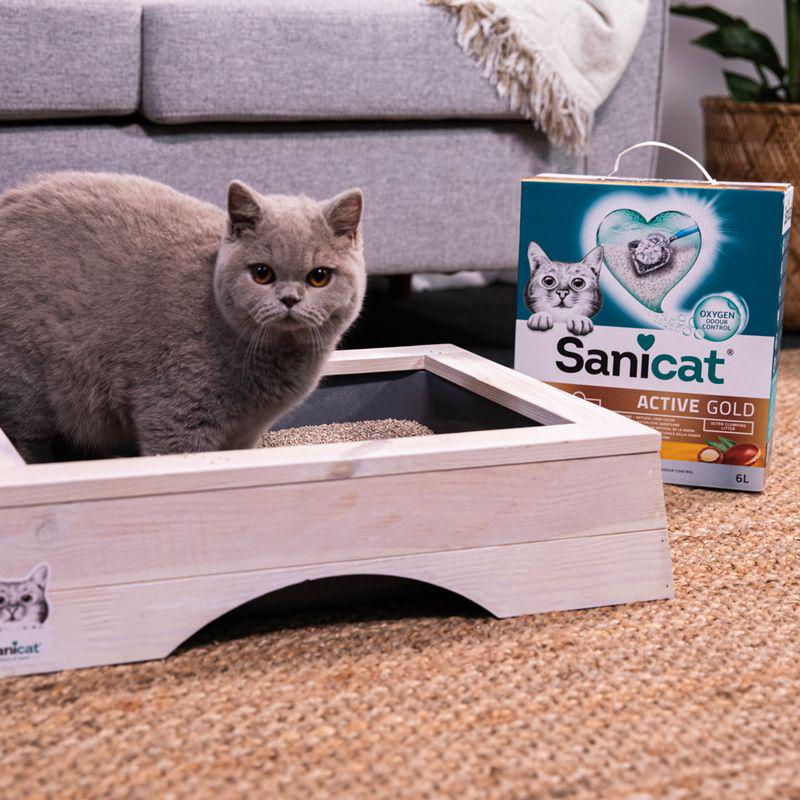 Premium clumping litter