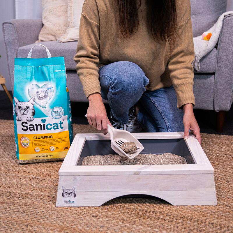 Dust-free unscented litter