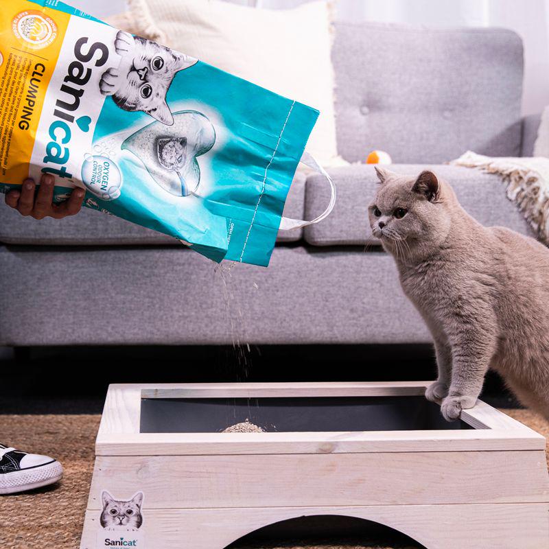 Odorless clumping litter for cats