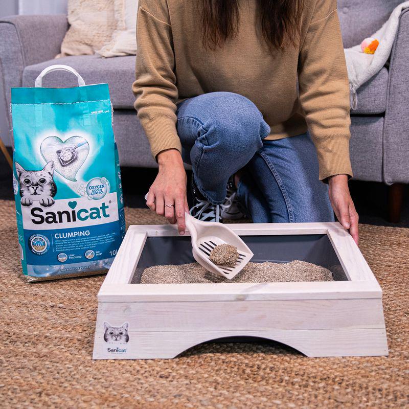 Odor control soap litter