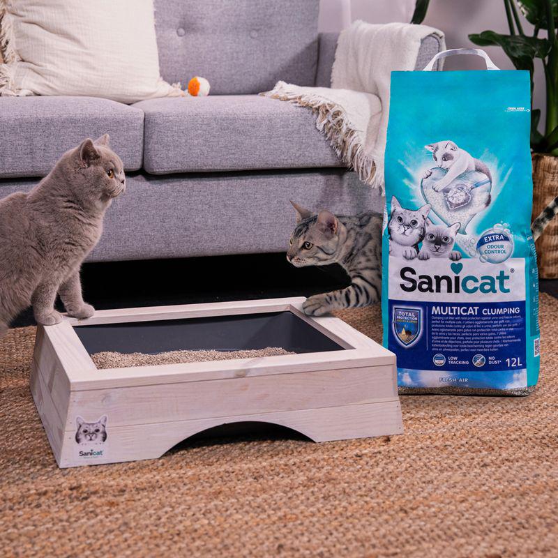 Sanicat clumping formula