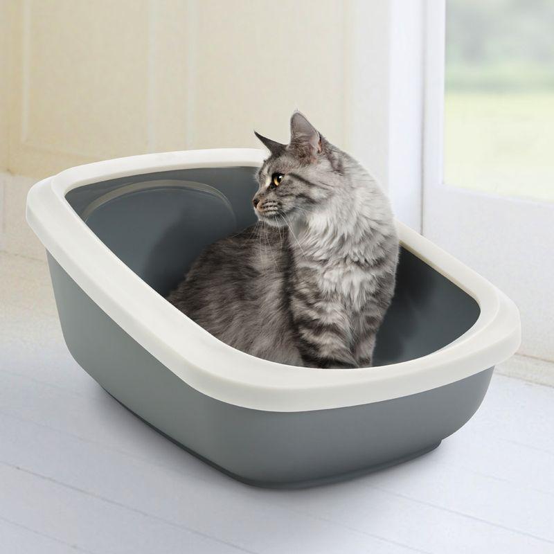 Large cat tray