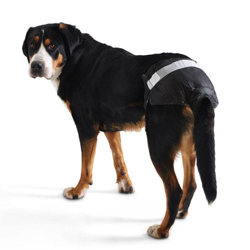 Incontinence Dog Wrap