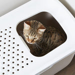 Load image into Gallery viewer, Savic Hop In cat litter box
