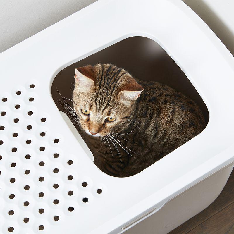 Savic Hop In cat litter box