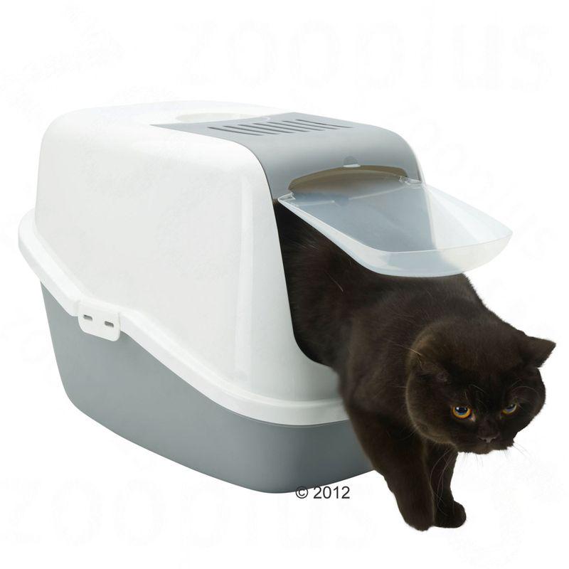 Swing-door litter box