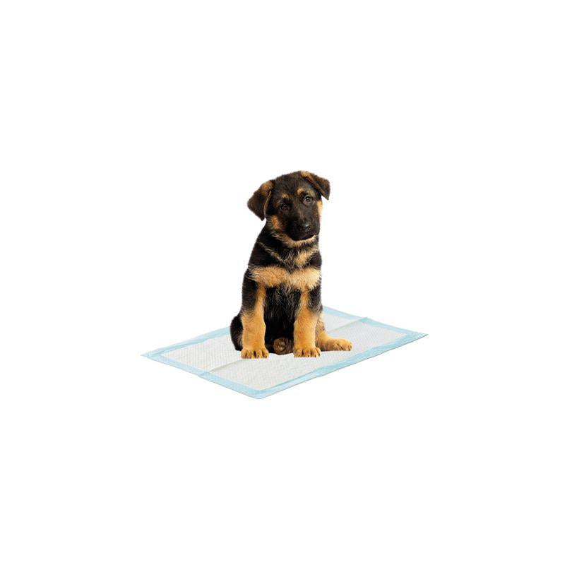 Dog Housebreaking Kit