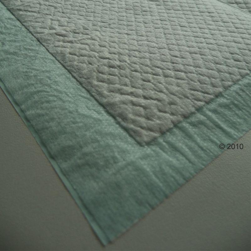 Absorbent pads for puppies