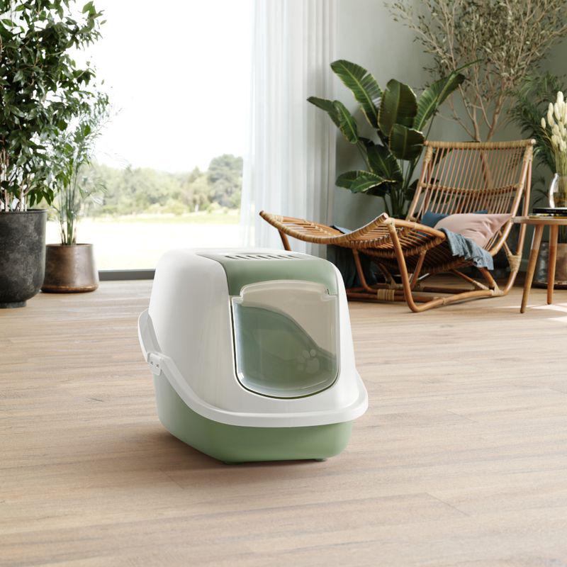 Raised back litter box