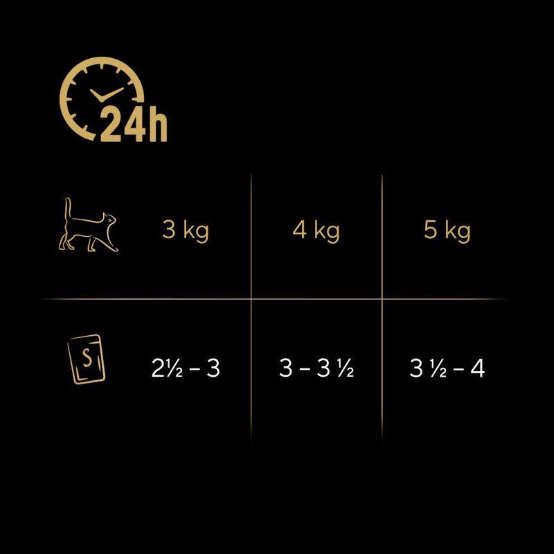 Luxury food for cats