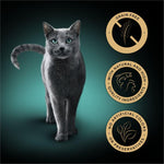 Load image into Gallery viewer, Delicious Sheba recipe pack
