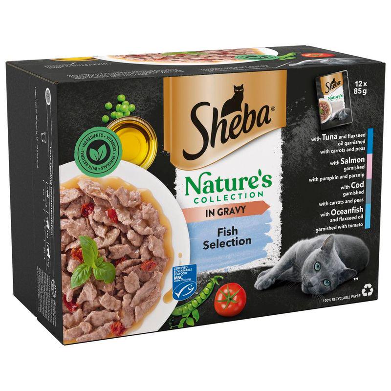 Sheba beef flavor pouch