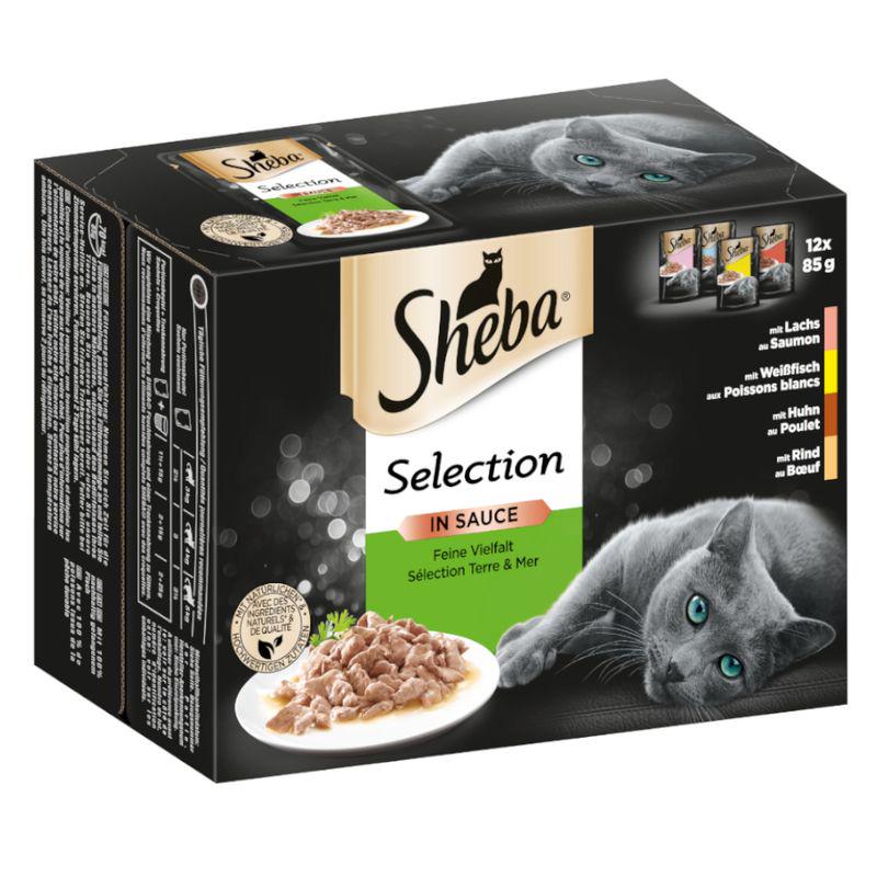 Sheba 48 pouch box