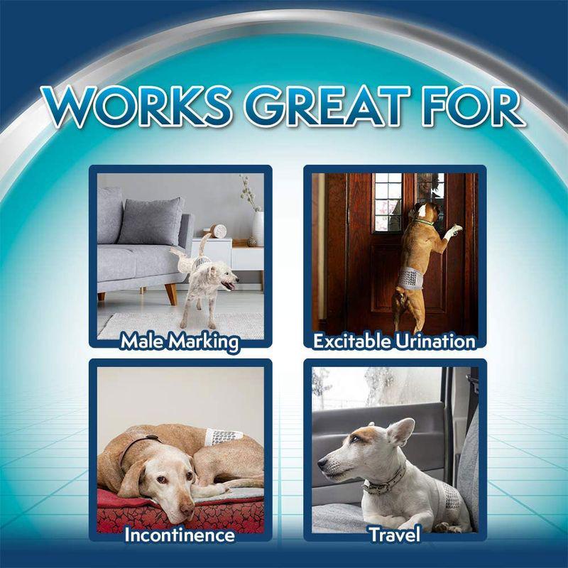 Post-Surgery Dog Wrap