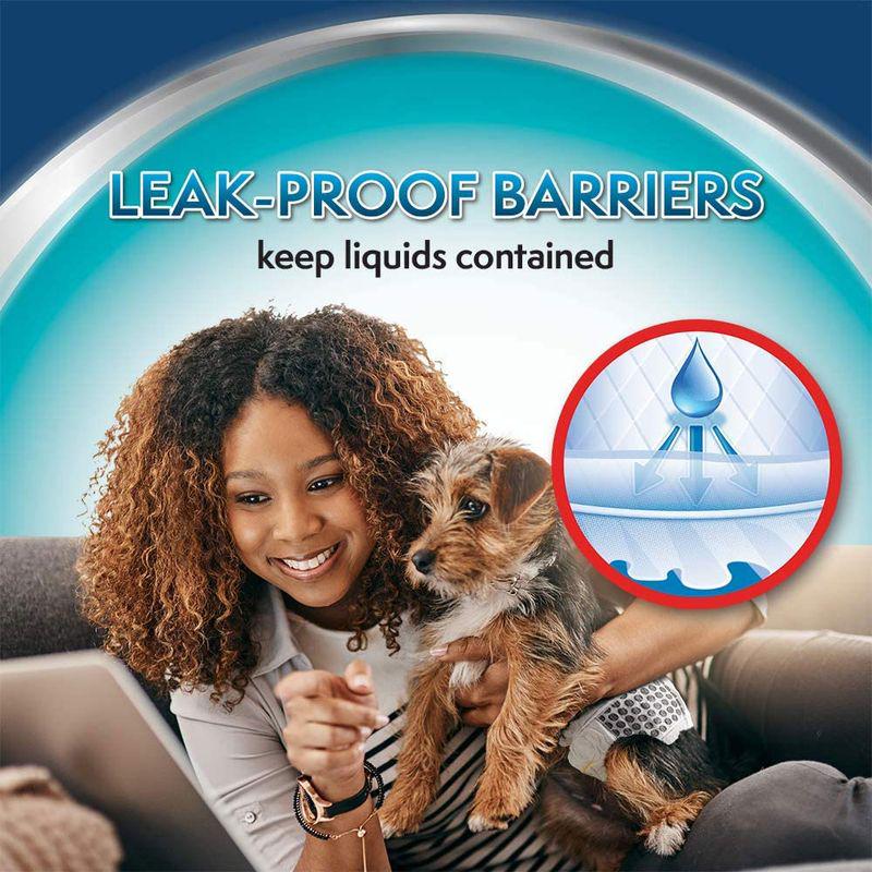 Incontinence dog wrap