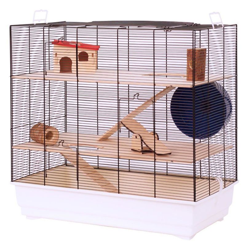 Skyline Leon pet home