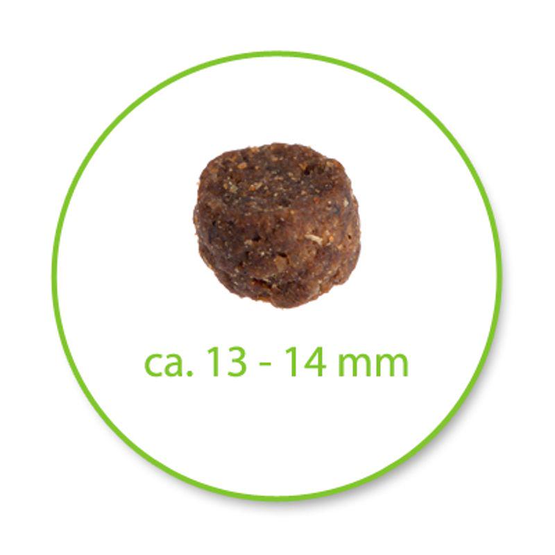 Poultry cat food XXL