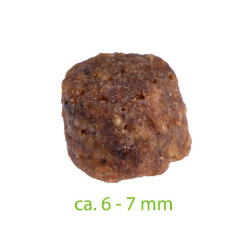 Grain-free duck recipe