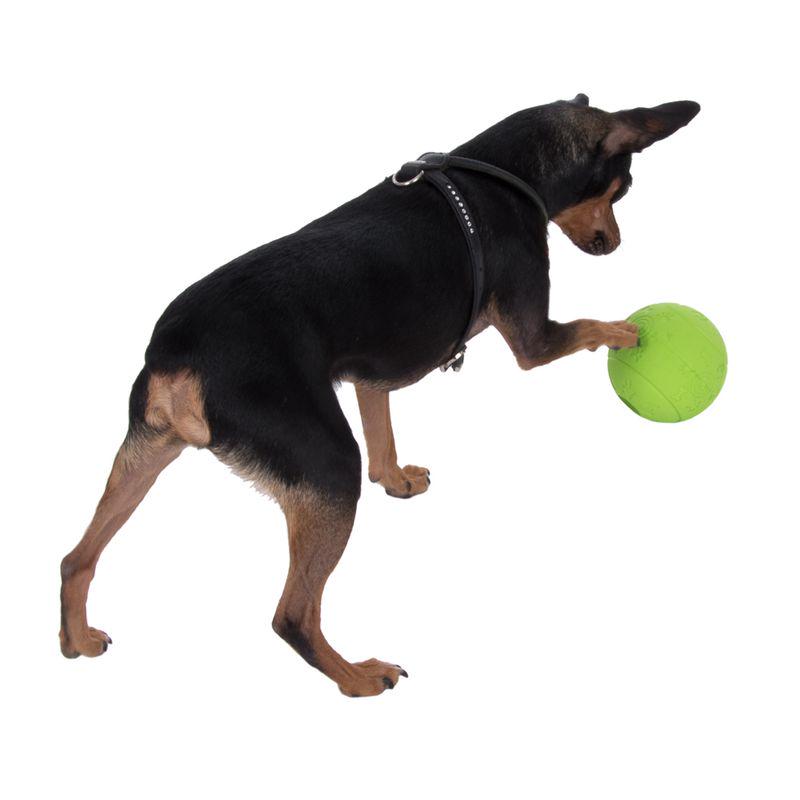 Interactive dog ball