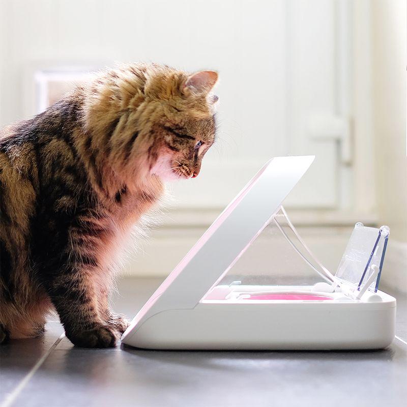 Selective pet feeding