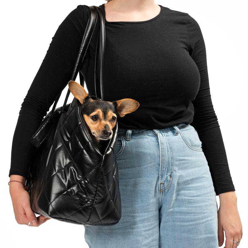 Comfortable pet tote

