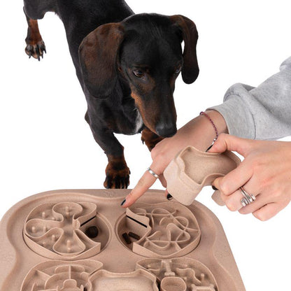 Dog mental stimulation