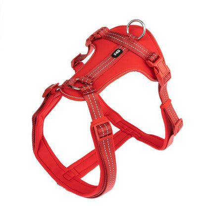 Soft neoprene harness
