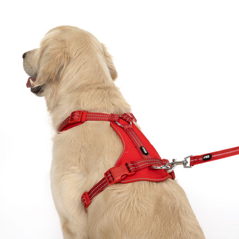 Easy-fit harness