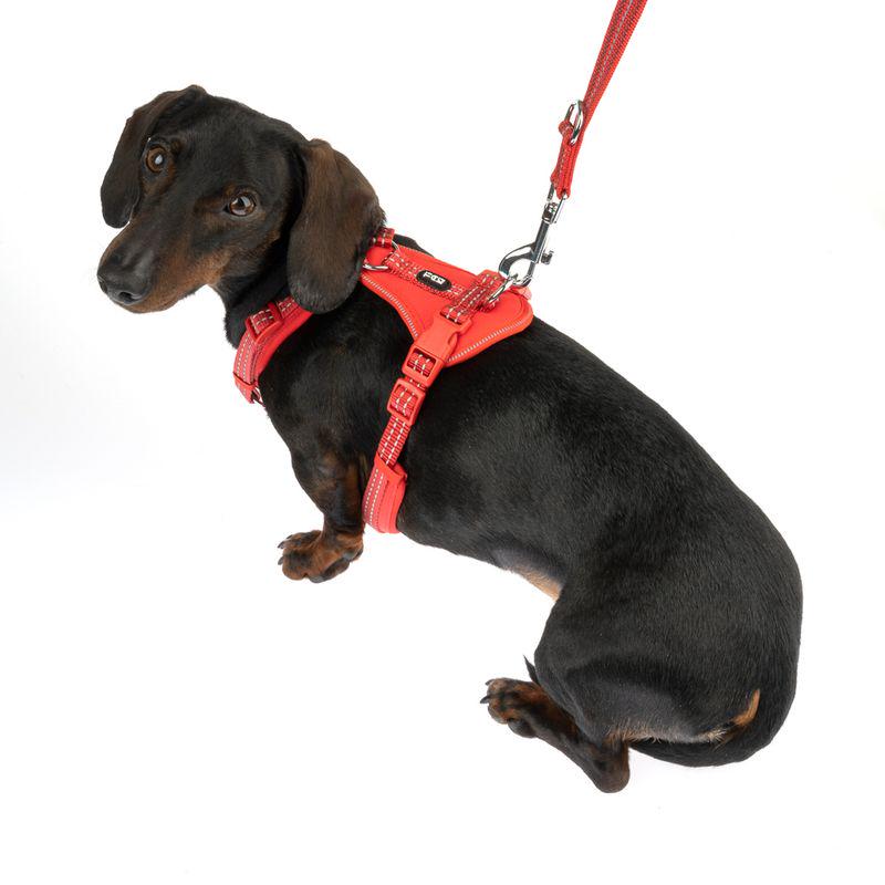 Durable harness straps