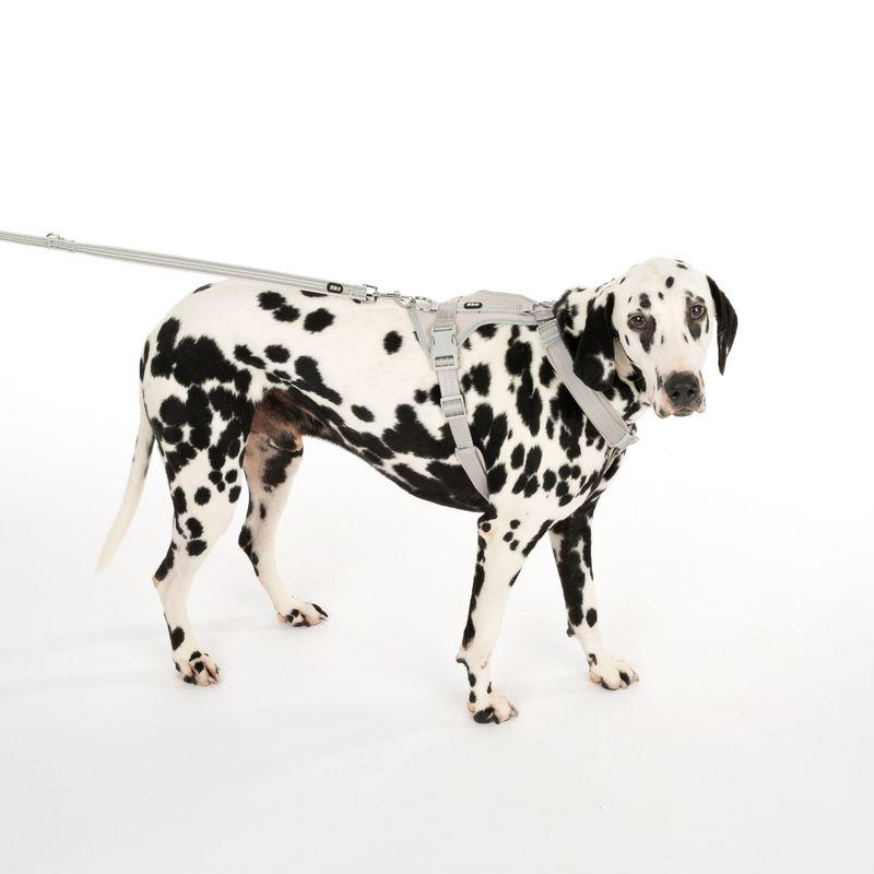 Strong dog waste bags