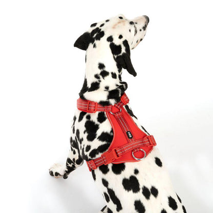 Stylish red harness