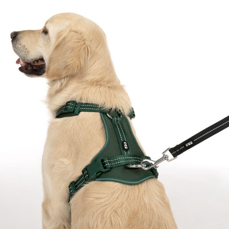 Reflective walking harness