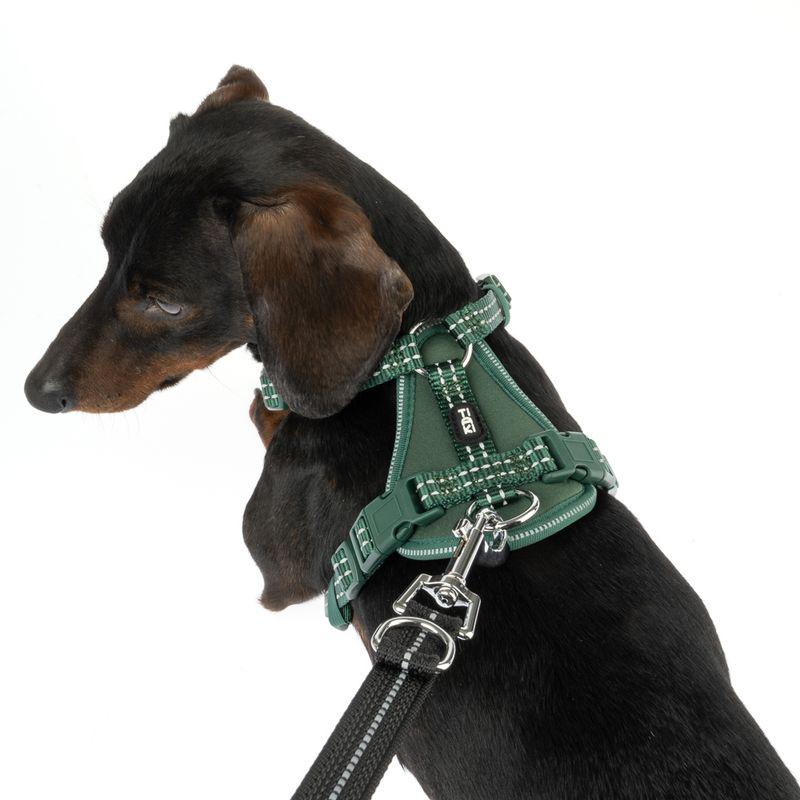 Quick-release dog harness